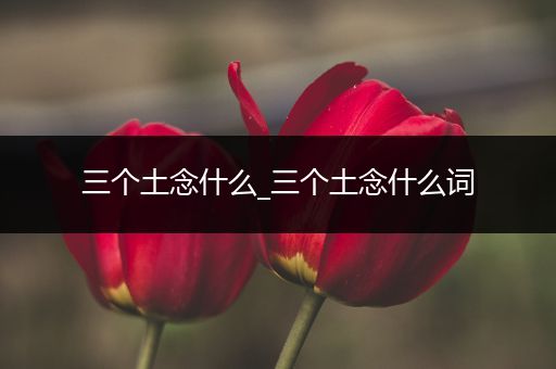 三个土念什么_三个土念什么词