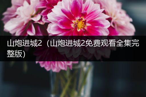 山炮进城2（山炮进城2免费观看全集完整版）