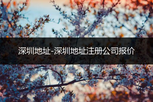 深圳地址-深圳地址注册公司报价