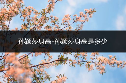 孙颖莎身高-孙颖莎身高是多少