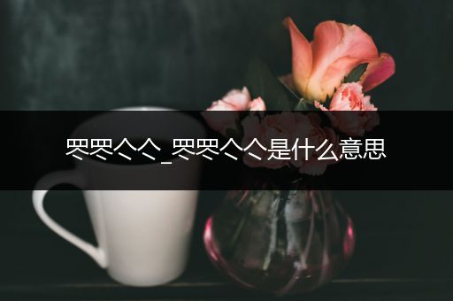 罖罖亽亽_罖罖亽亽是什么意思