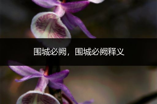 围城必阙，围城必阙释义