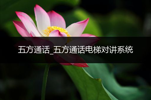 五方通话_五方通话电梯对讲系统