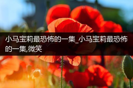 小马宝莉最恐怖的一集_小马宝莉最恐怖的一集,微笑