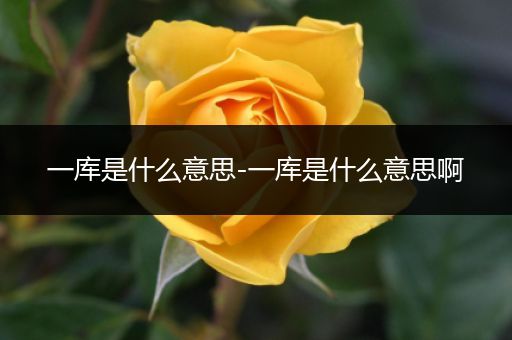 一库是什么意思-一库是什么意思啊
