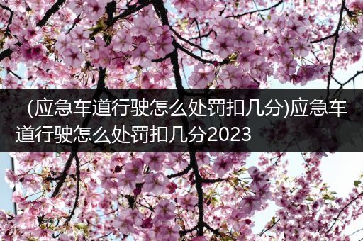 （应急车道行驶怎么处罚扣几分)应急车道行驶怎么处罚扣几分2023