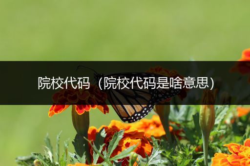 院校代码（院校代码是啥意思）