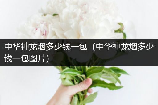 中华神龙烟多少钱一包（中华神龙烟多少钱一包图片）