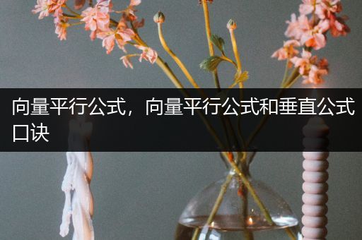 向量平行公式，向量平行公式和垂直公式口诀