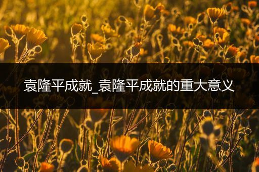 袁隆平成就_袁隆平成就的重大意义