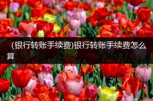 （银行转账手续费)银行转账手续费怎么算