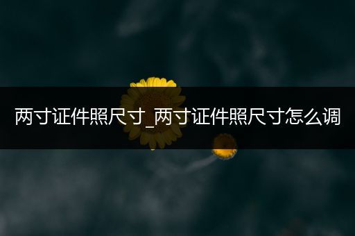 两寸证件照尺寸_两寸证件照尺寸怎么调