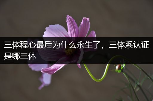 三体程心最后为什么永生了，三体系认证是哪三体
