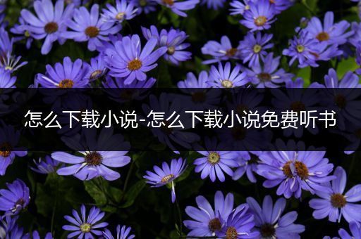 怎么下载小说-怎么下载小说免费听书