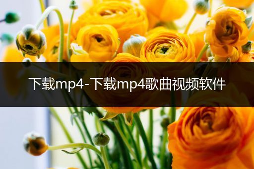 下载mp4-下载mp4歌曲视频软件