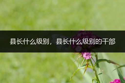 县长什么级别，县长什么级别的干部