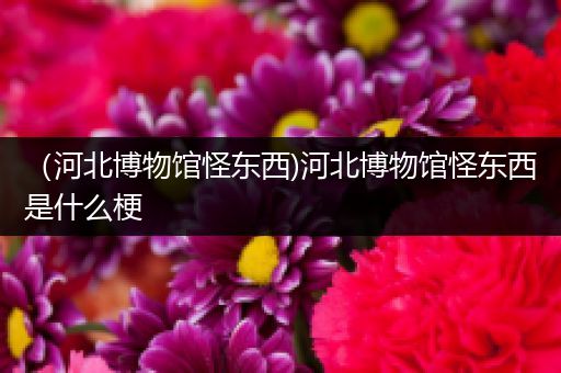 （河北博物馆怪东西)河北博物馆怪东西是什么梗