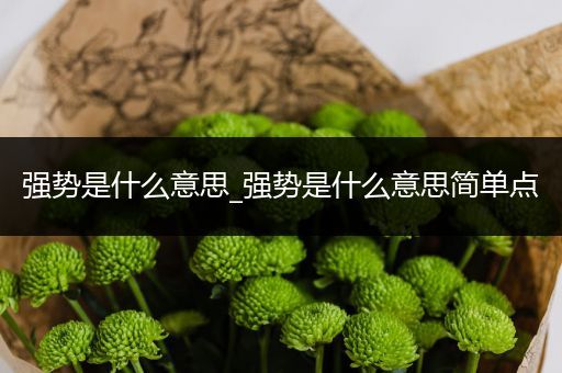 强势是什么意思_强势是什么意思简单点