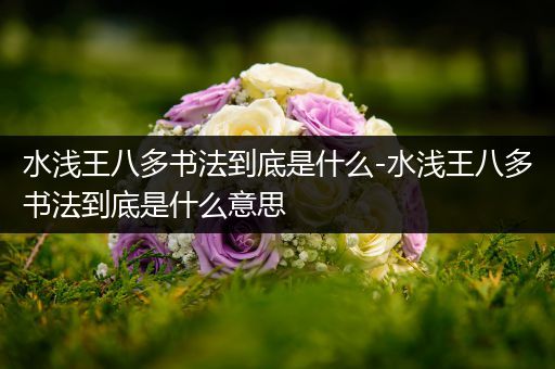 水浅王八多书法到底是什么-水浅王八多书法到底是什么意思