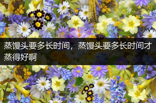 蒸馒头要多长时间，蒸馒头要多长时间才蒸得好啊