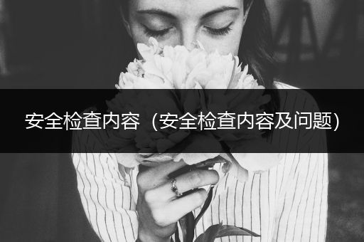 安全检查内容（安全检查内容及问题）