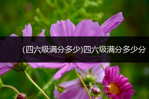 （四六级满分多少)四六级满分多少分