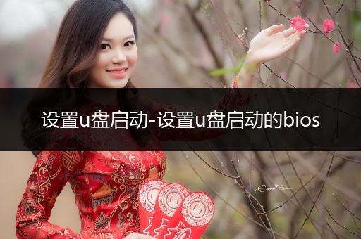 设置u盘启动-设置u盘启动的bios