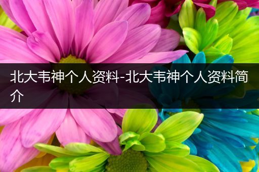 北大韦神个人资料-北大韦神个人资料简介