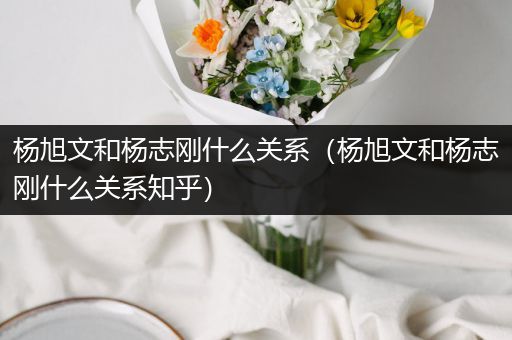 杨旭文和杨志刚什么关系（杨旭文和杨志刚什么关系知乎）