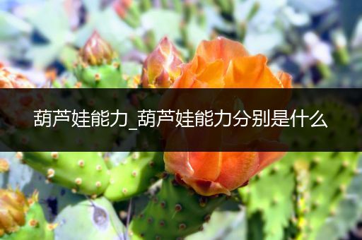 葫芦娃能力_葫芦娃能力分别是什么