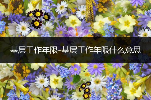 基层工作年限-基层工作年限什么意思