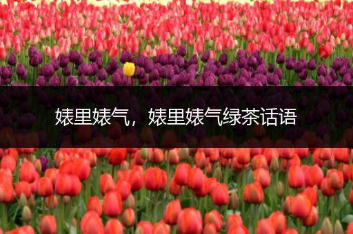婊里婊气，婊里婊气绿茶话语
