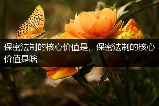 保密法制的核心价值是，保密法制的核心价值是啥