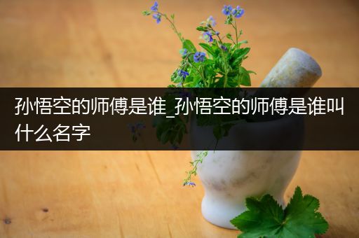 孙悟空的师傅是谁_孙悟空的师傅是谁叫什么名字
