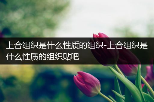 上合组织是什么性质的组织-上合组织是什么性质的组织贴吧