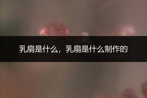 乳扇是什么，乳扇是什么制作的