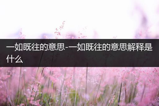 一如既往的意思-一如既往的意思解释是什么