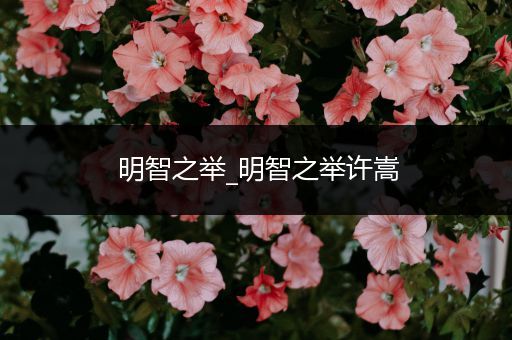明智之举_明智之举许嵩