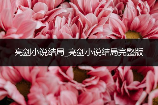 亮剑小说结局_亮剑小说结局完整版