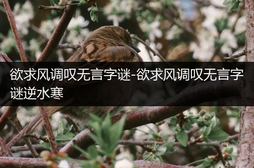 欲求风调叹无言字谜-欲求风调叹无言字谜逆水寒