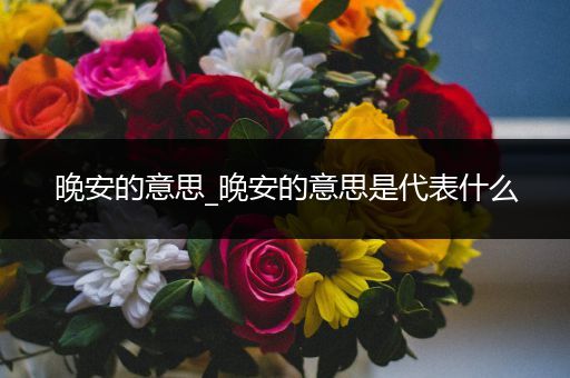 晚安的意思_晚安的意思是代表什么