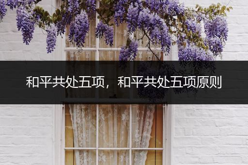 和平共处五项，和平共处五项原则