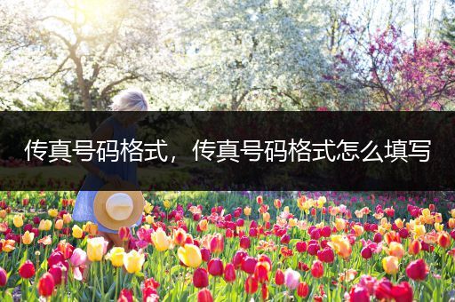 传真号码格式，传真号码格式怎么填写