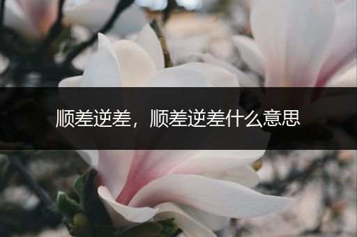 顺差逆差，顺差逆差什么意思