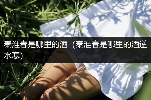 秦淮春是哪里的酒（秦淮春是哪里的酒逆水寒）
