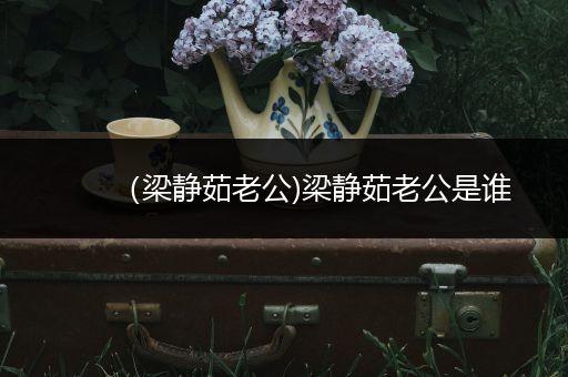 （梁静茹老公)梁静茹老公是谁