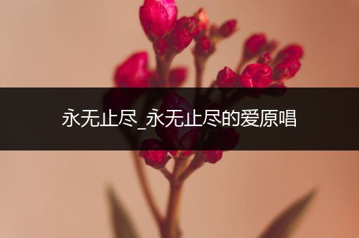 永无止尽_永无止尽的爱原唱