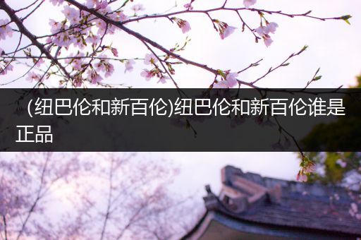 （纽巴伦和新百伦)纽巴伦和新百伦谁是正品