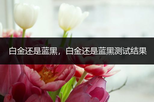 白金还是蓝黑，白金还是蓝黑测试结果
