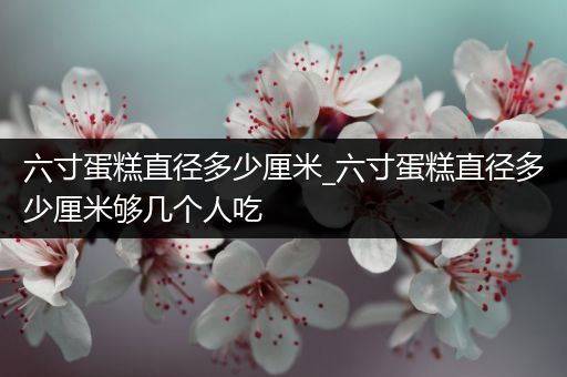 六寸蛋糕直径多少厘米_六寸蛋糕直径多少厘米够几个人吃